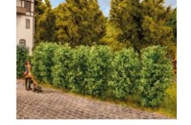 Thuja Hedge (12 pcs)  HO/OO Gauge